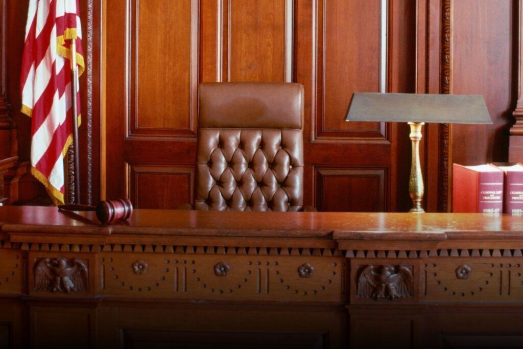 IP Litigation